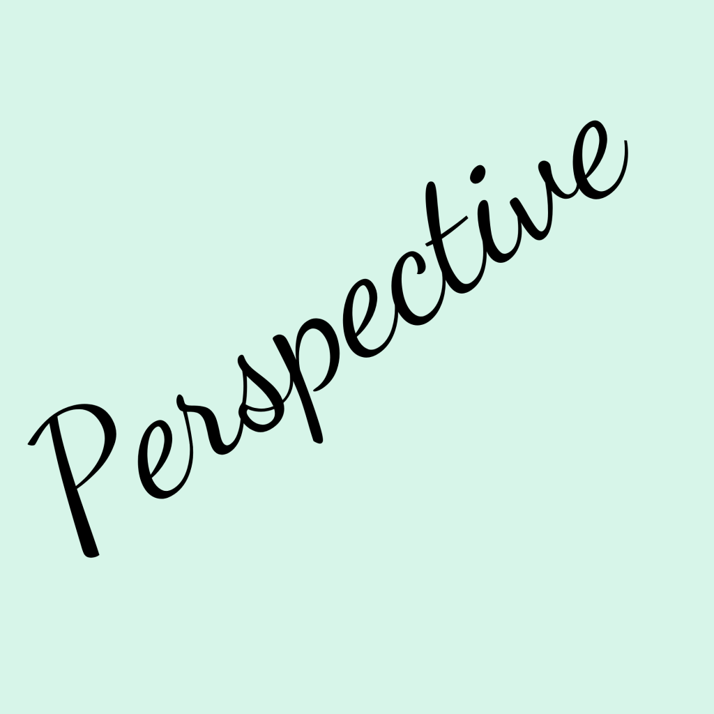 Perspective - The Shona Project